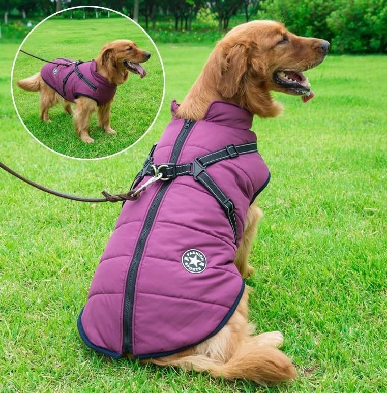 😍Today Special offer 47% OFF-Waterproof Winter Dog Jacket with Built-in Harness