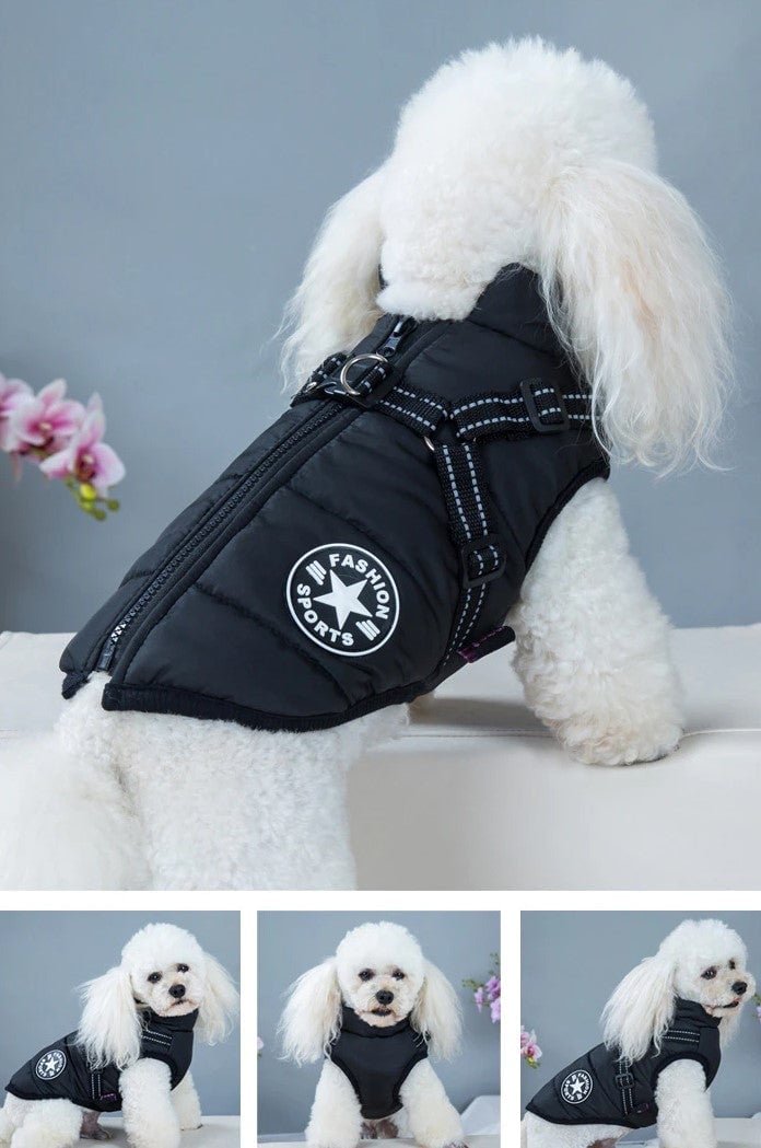😍Today Special offer 47% OFF-Waterproof Winter Dog Jacket with Built-in Harness