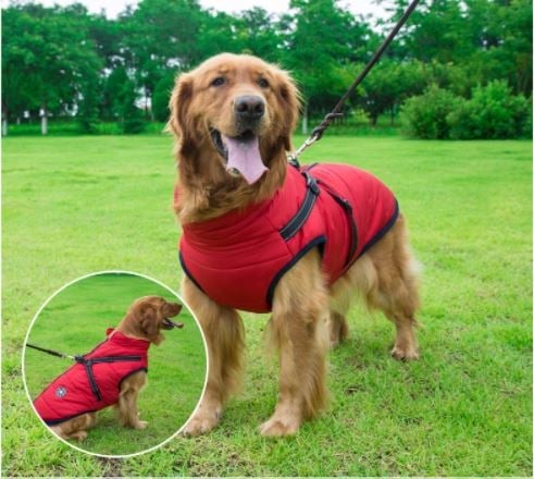 😍Today Special offer 47% OFF-Waterproof Winter Dog Jacket with Built-in Harness