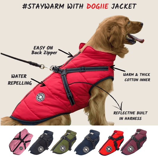 😍Today Special offer 47% OFF-Waterproof Winter Dog Jacket with Built-in Harness
