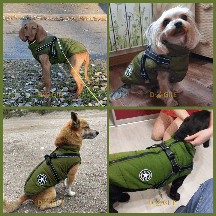 😍Today Special offer 47% OFF-Waterproof Winter Dog Jacket with Built-in Harness