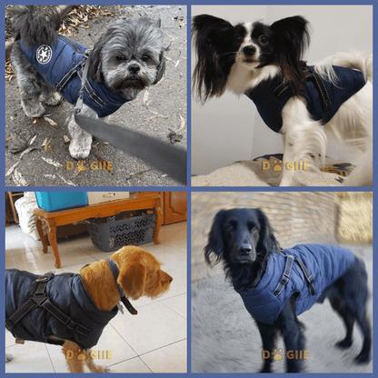 😍Today Special offer 47% OFF-Waterproof Winter Dog Jacket with Built-in Harness