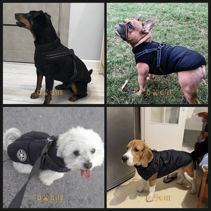 😍Today Special offer 47% OFF-Waterproof Winter Dog Jacket with Built-in Harness